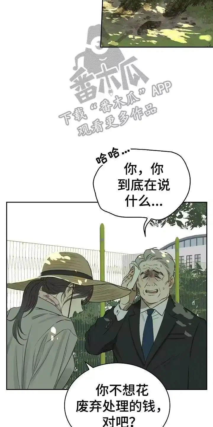 花是诱饵_h 第5章：不能开 第2页