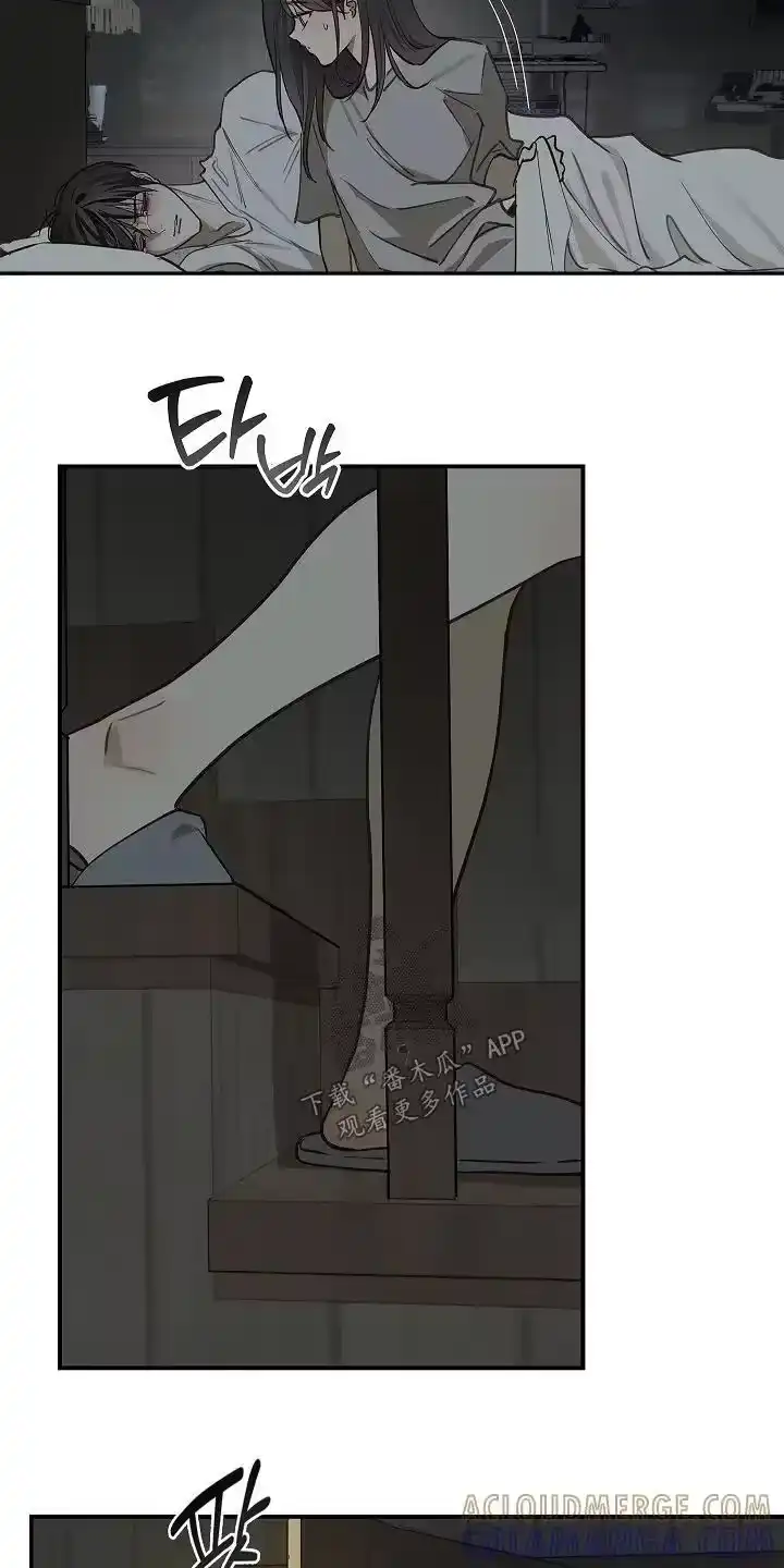 花是诱饵_h 第64章：哭了 第7页