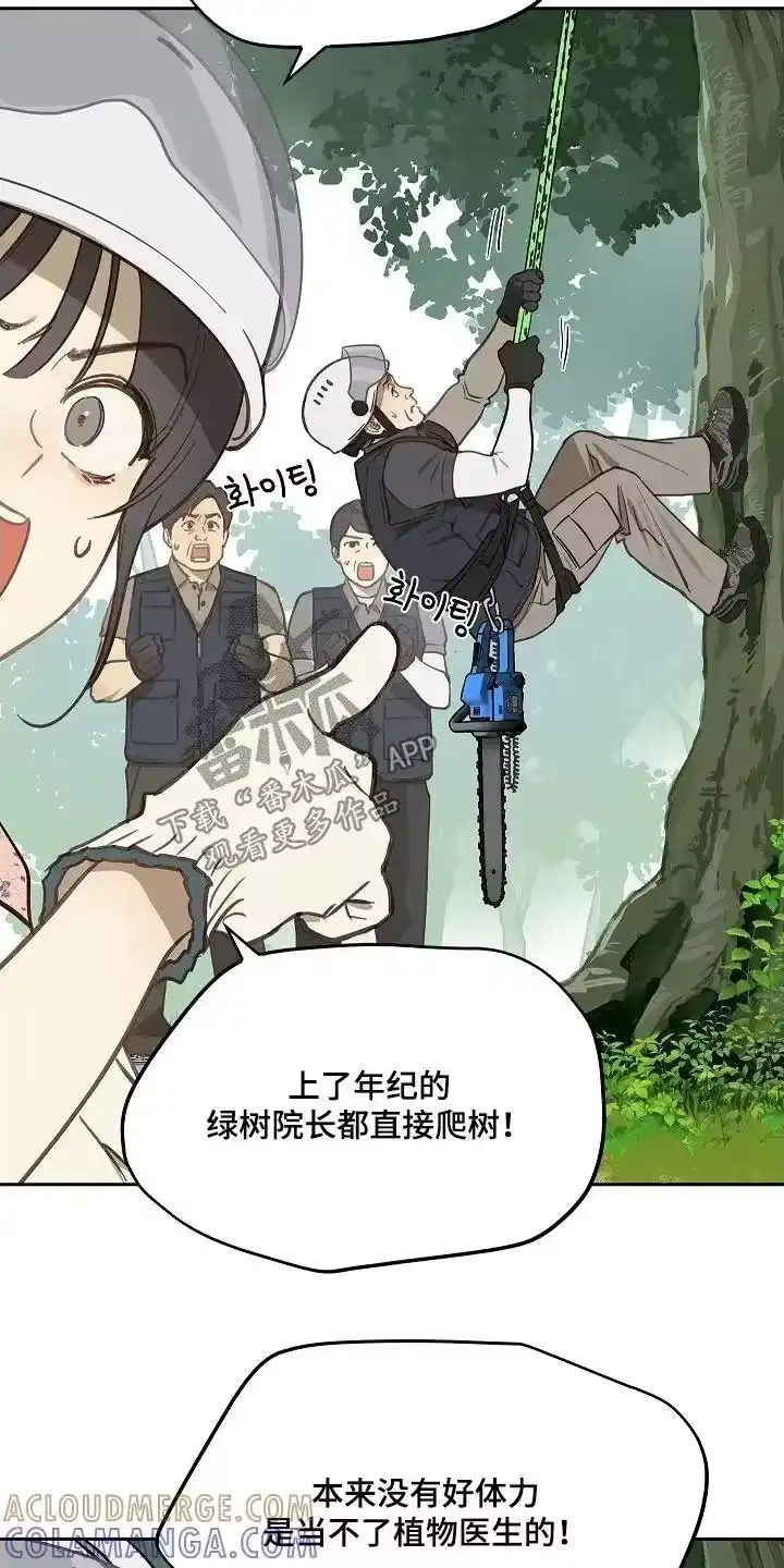 花是诱饵_h 第65章：顶撞我 第13页
