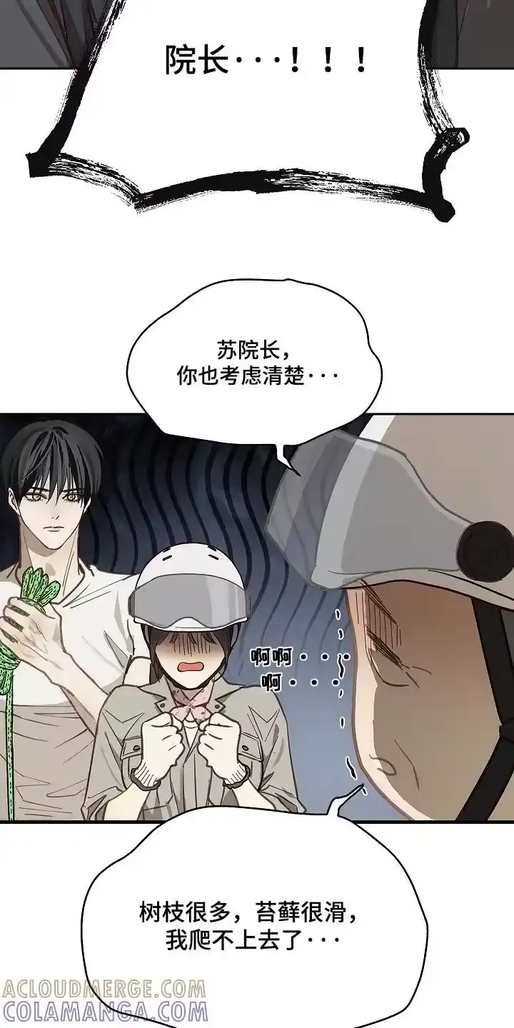 花是诱饵_h 第65章：顶撞我 第17页