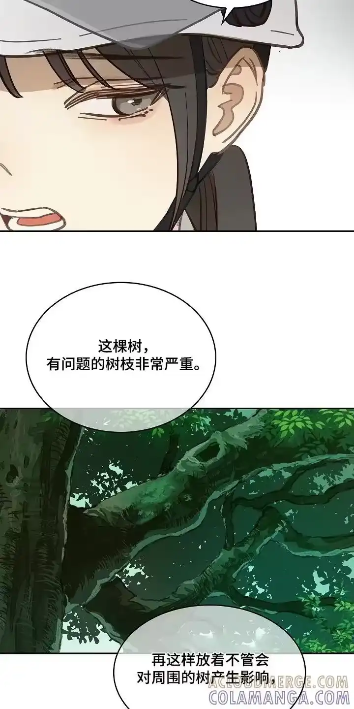 花是诱饵_h 第65章：顶撞我 第21页