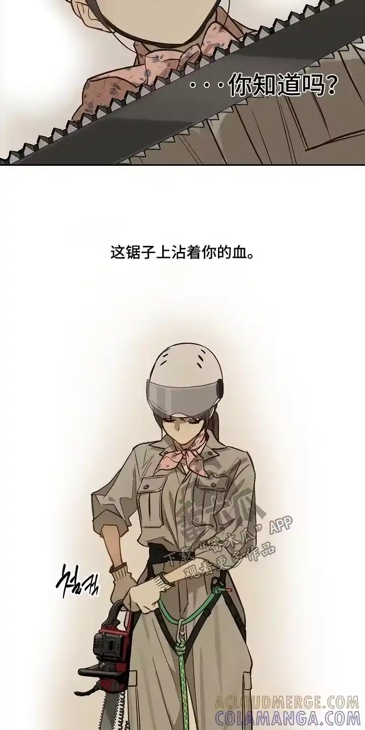 花是诱饵_h 第66章：掉下去 第11页