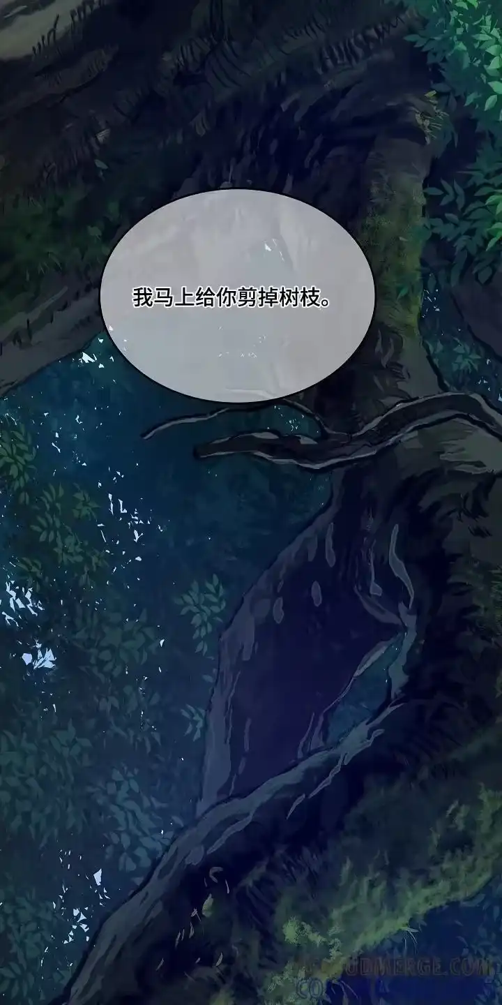 花是诱饵_h 第66章：掉下去 第27页