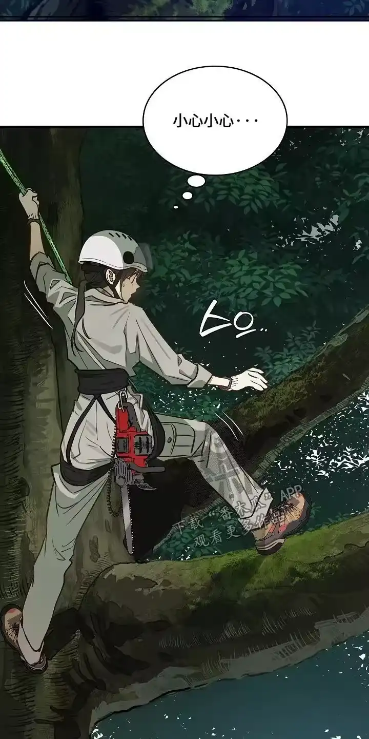 花是诱饵_h 第66章：掉下去 第28页