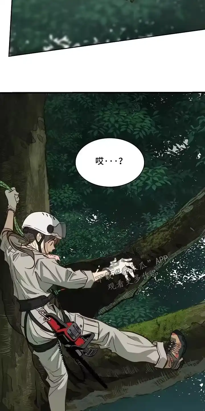 花是诱饵_h 第66章：掉下去 第30页