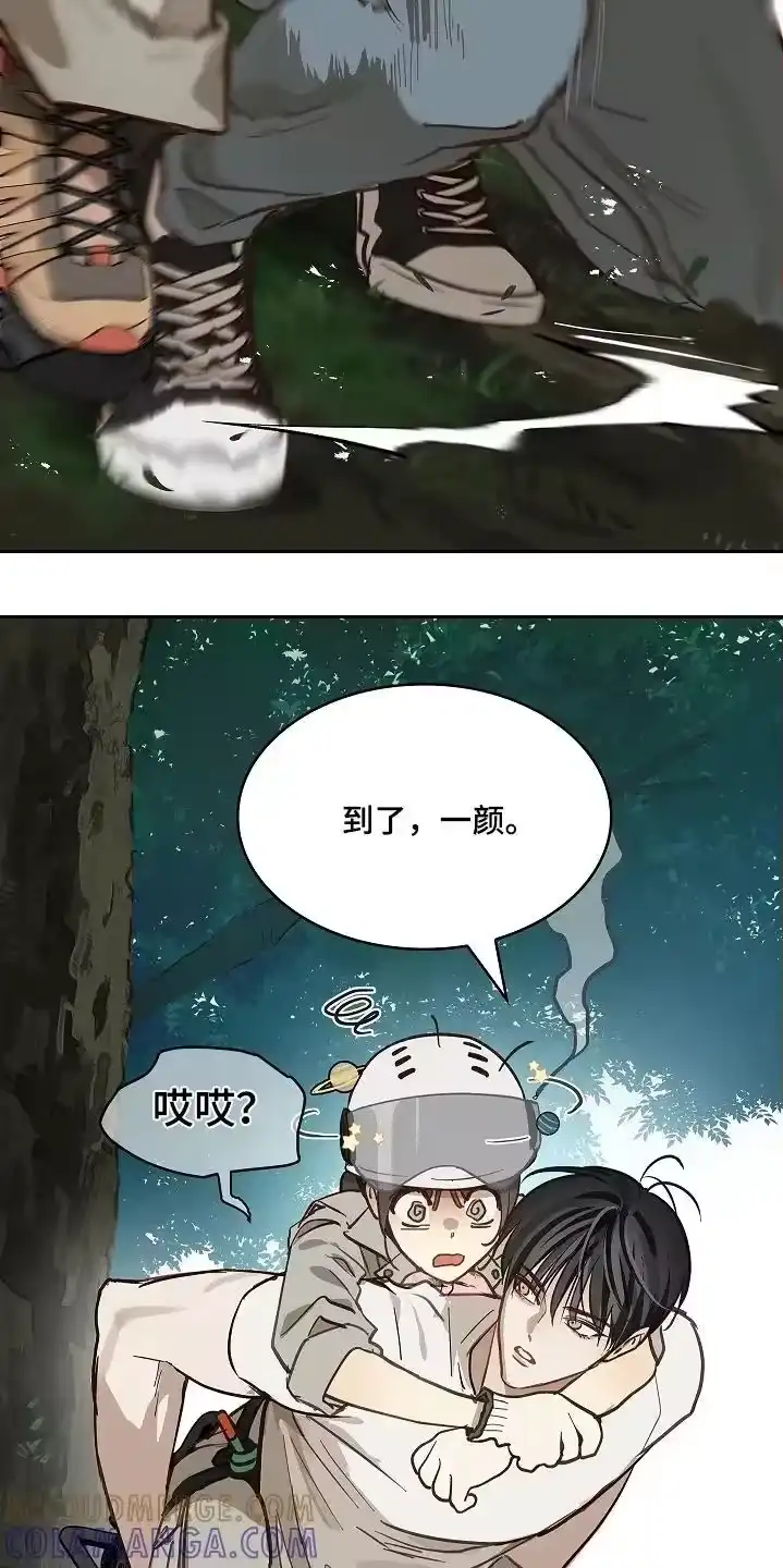 花是诱饵_h 第68章：继续 第11页