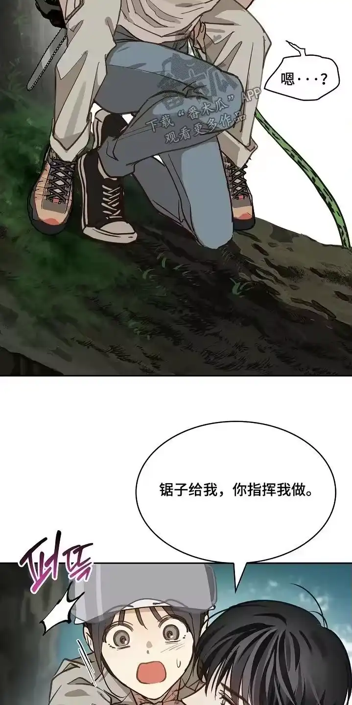 花是诱饵_h 第68章：继续 第12页