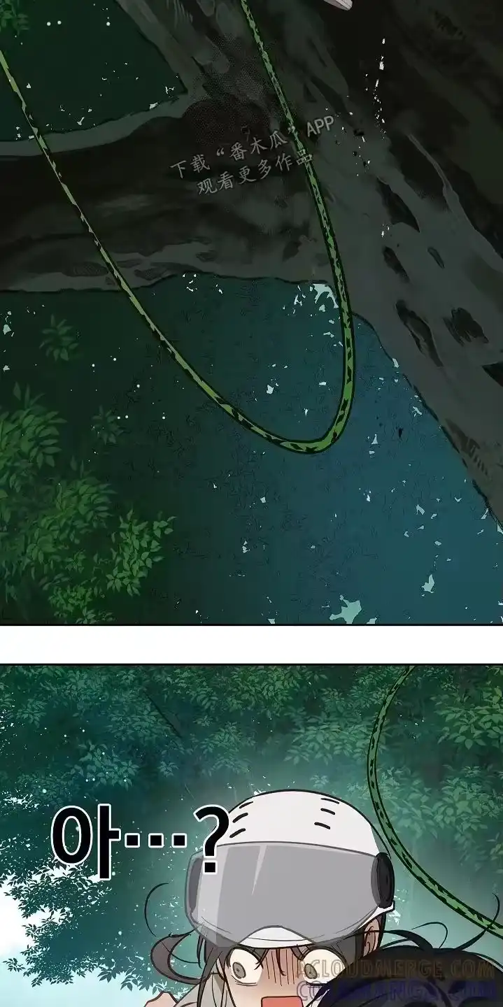 花是诱饵_h 第68章：继续 第7页