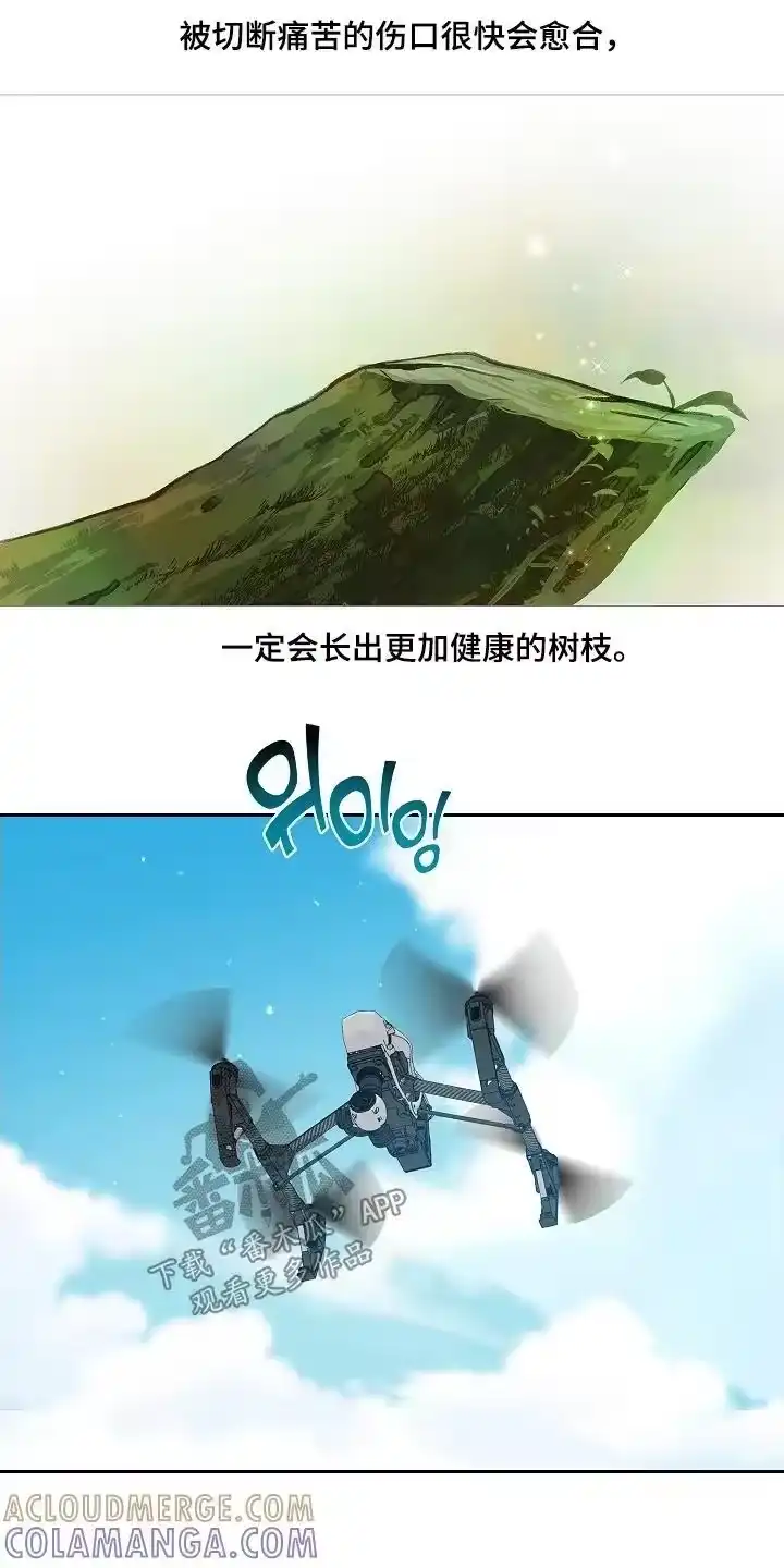 花是诱饵_h 第69章：成功了 第19页