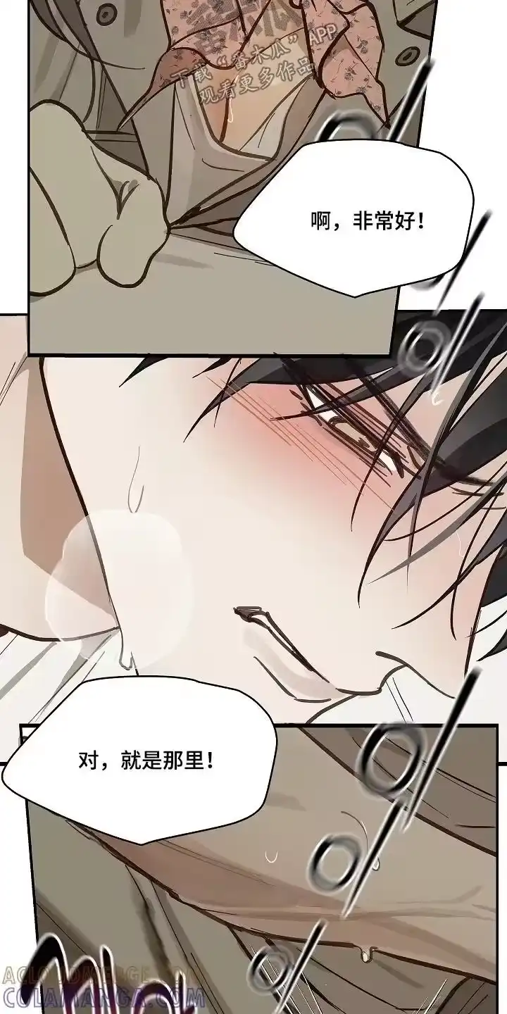 花是诱饵_h 第69章：成功了 第3页