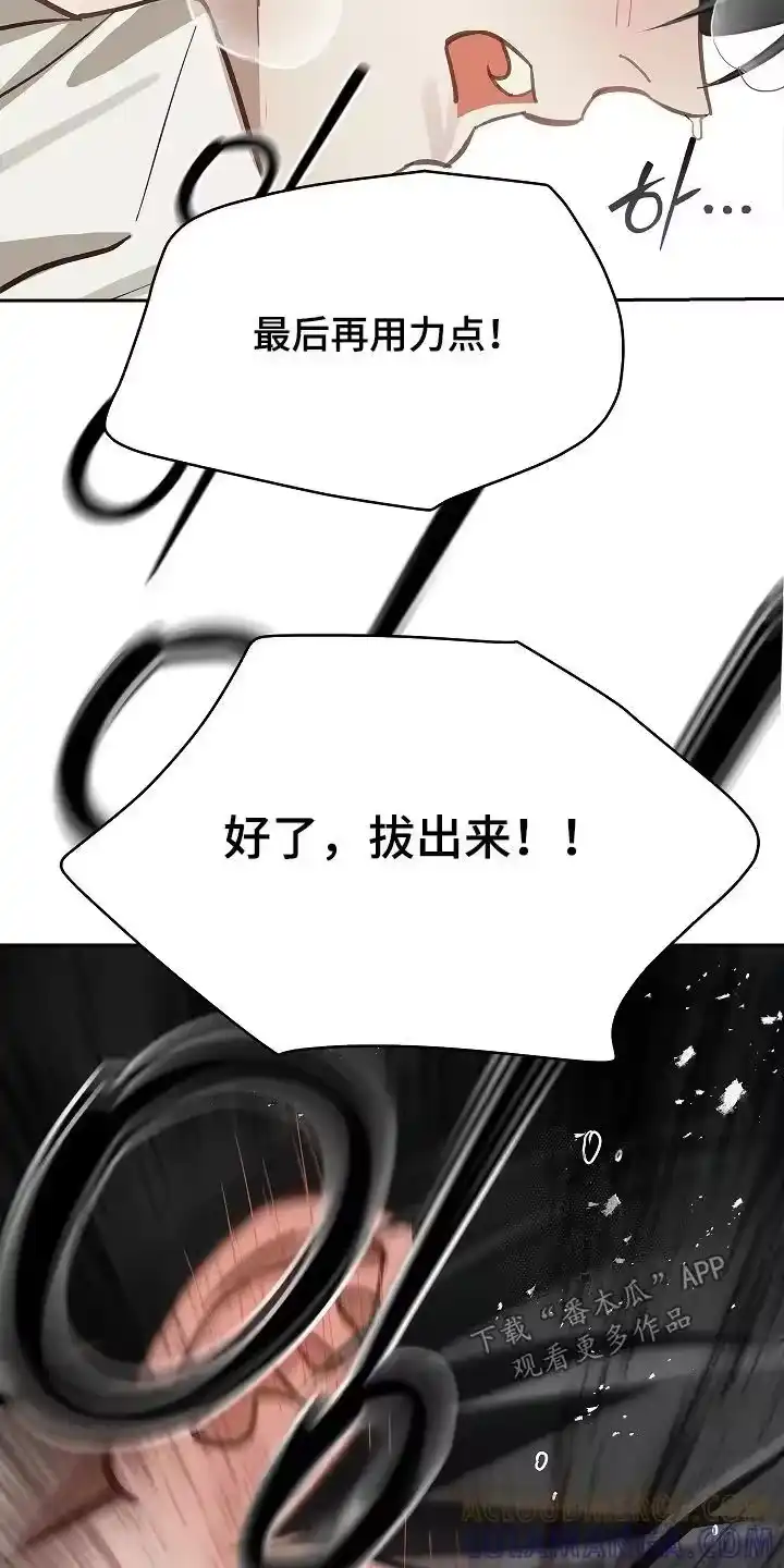 花是诱饵_h 第69章：成功了 第5页