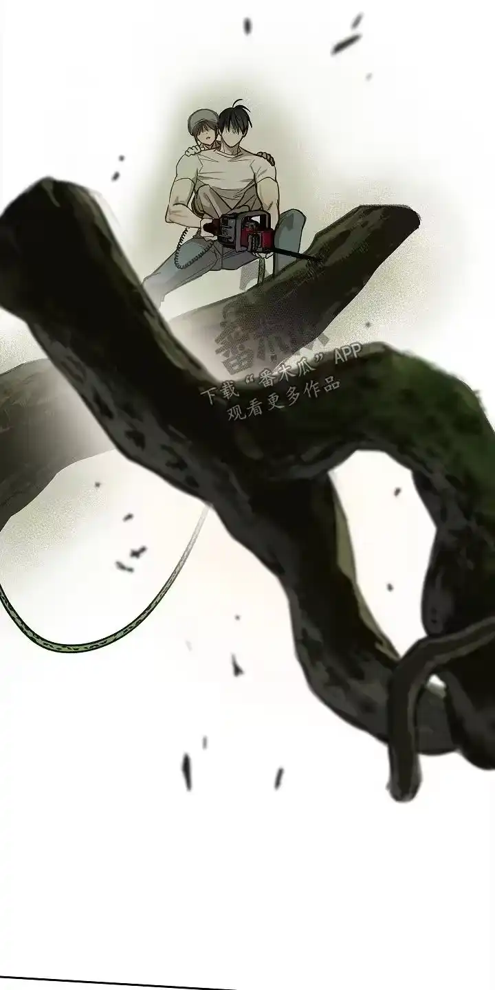 花是诱饵_h 第69章：成功了 第8页