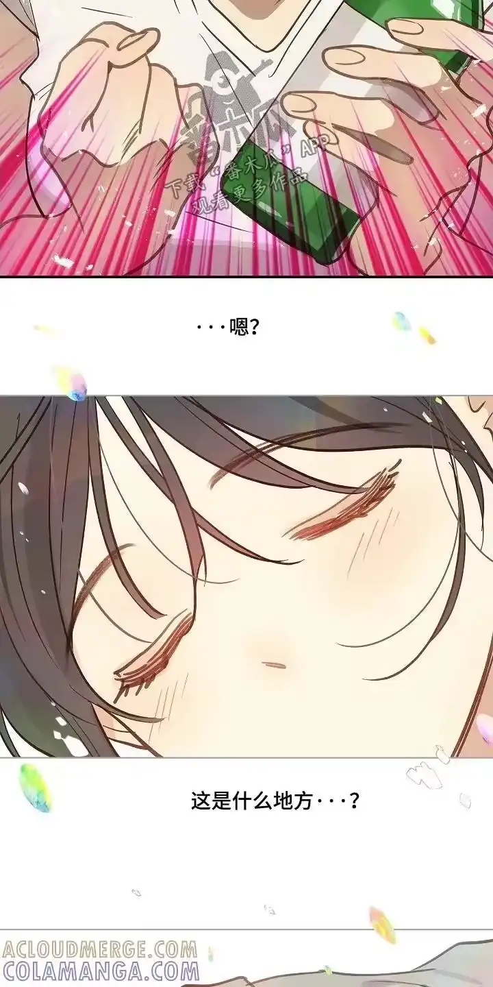 花是诱饵_h 第70章：都我来喝 第13页