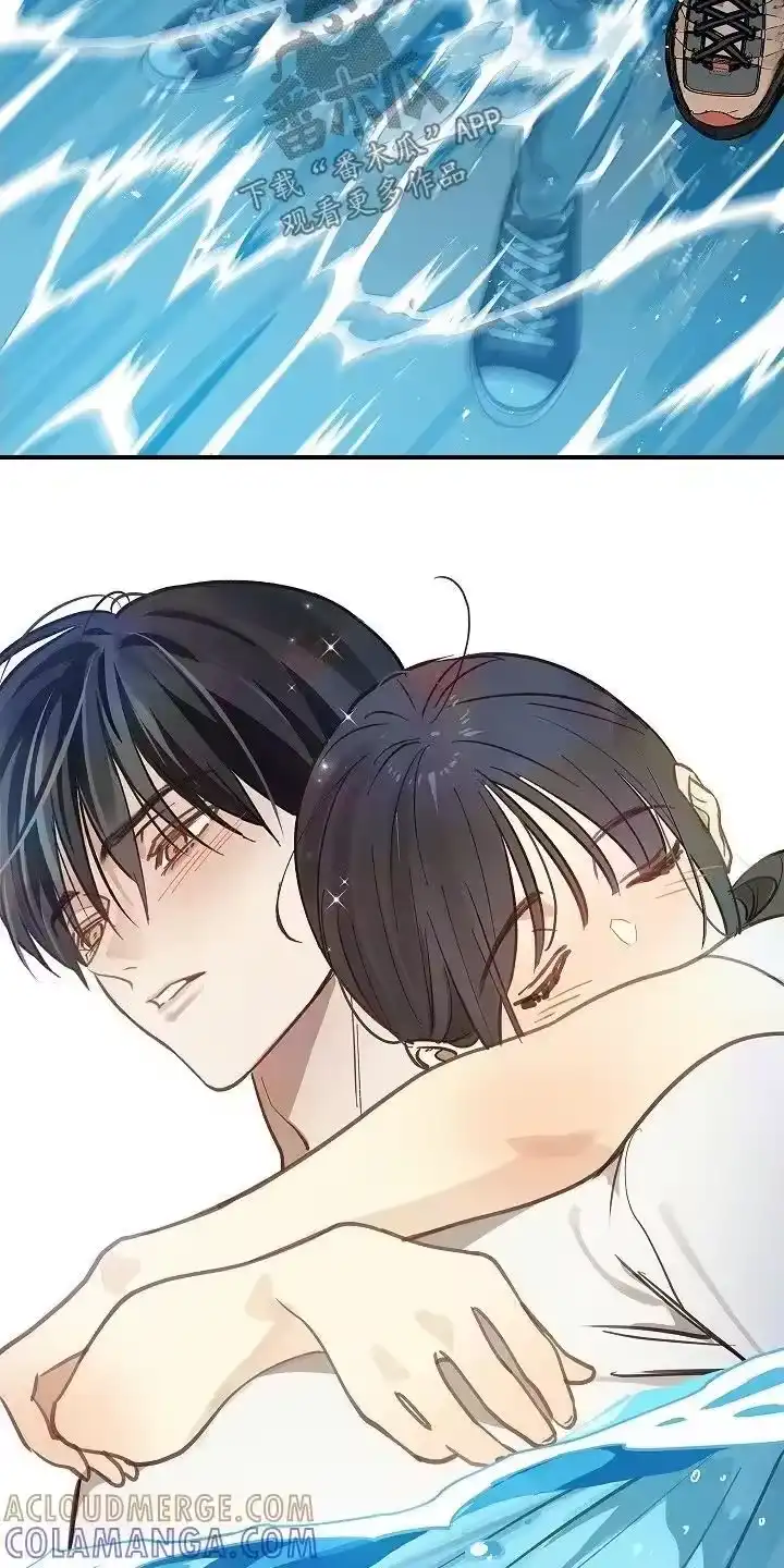 花是诱饵_h 第71章：发生了什么 第11页