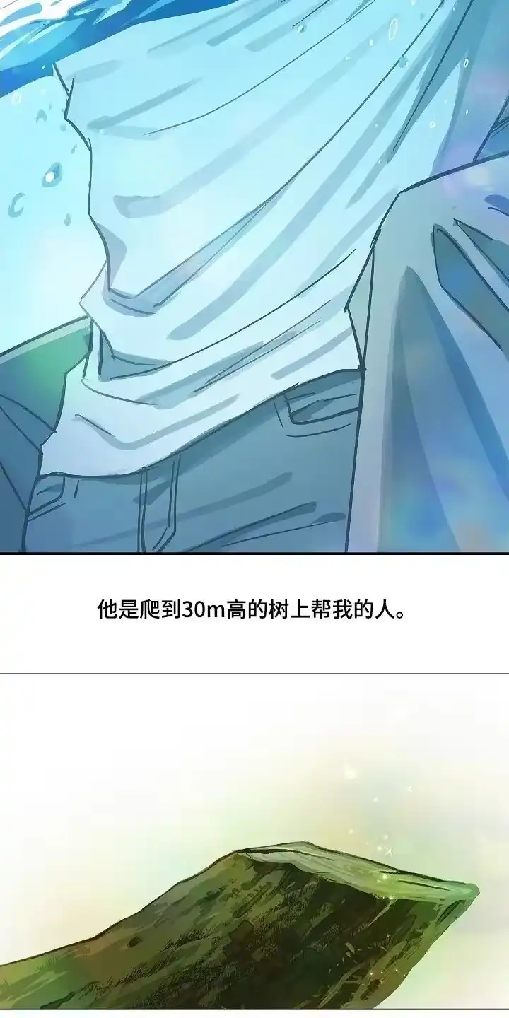 花是诱饵_h 第71章：发生了什么 第12页