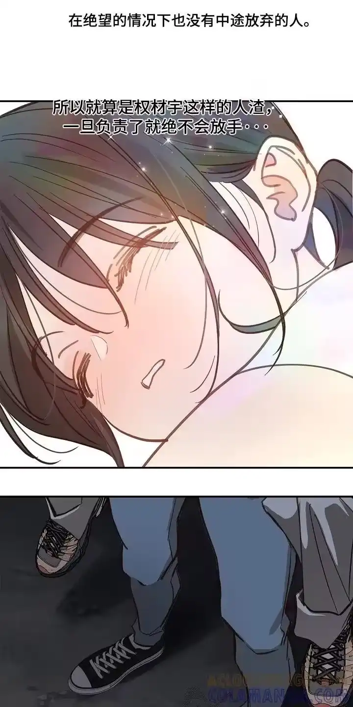 花是诱饵_h 第71章：发生了什么 第13页