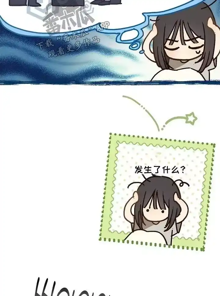 花是诱饵_h 第71章：发生了什么 第22页