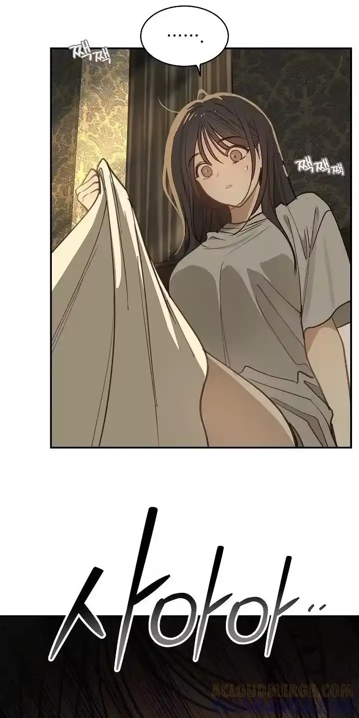 花是诱饵_h 第71章：发生了什么 第25页