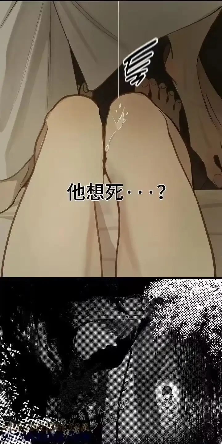花是诱饵_h 第72章：已经死了 第11页