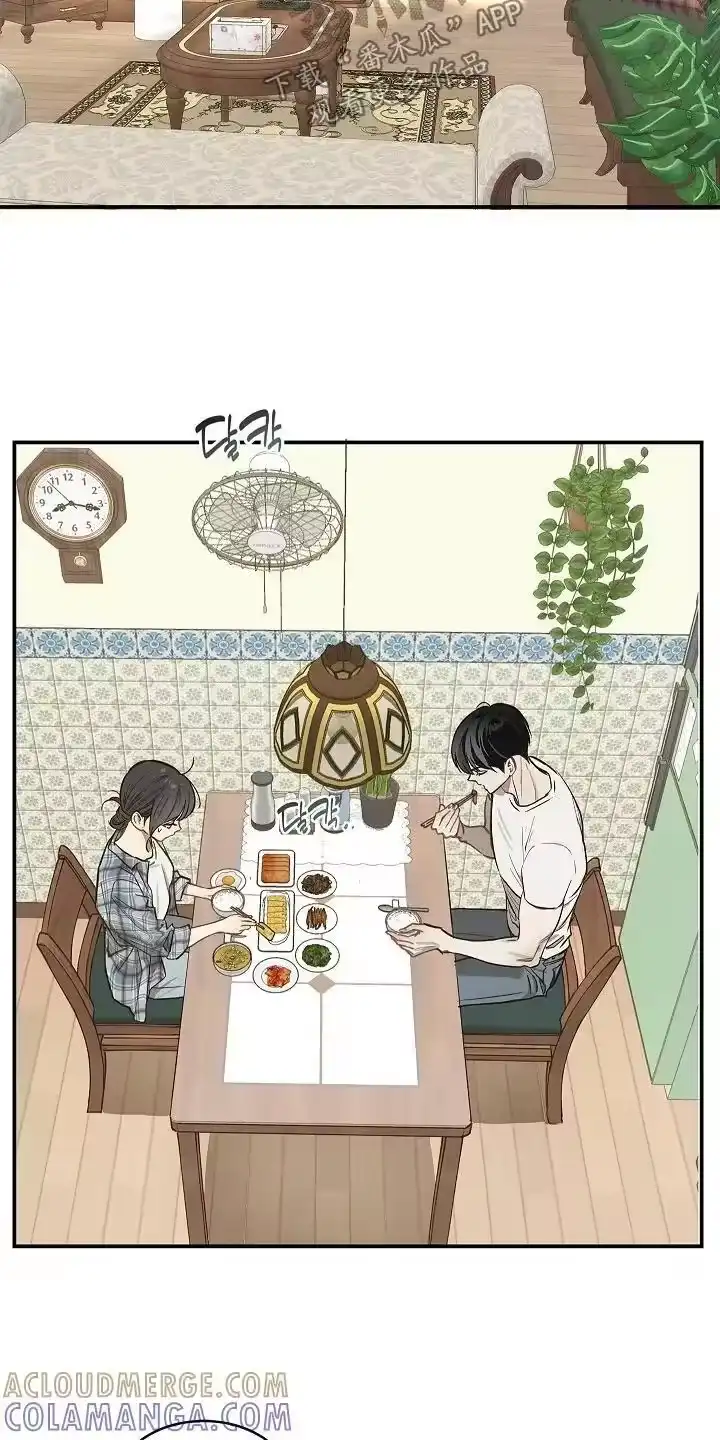 花是诱饵_h 第72章：已经死了 第23页