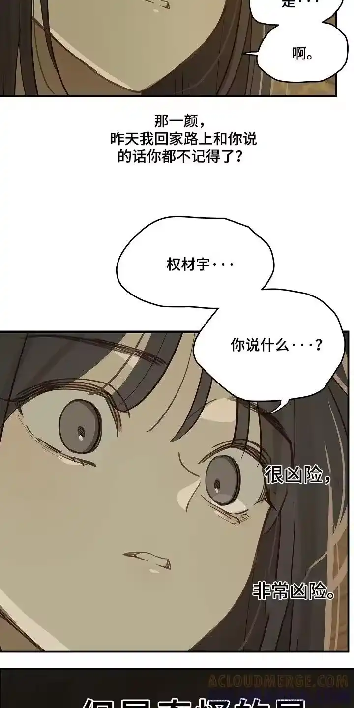 花是诱饵_h 第72章：已经死了 第5页