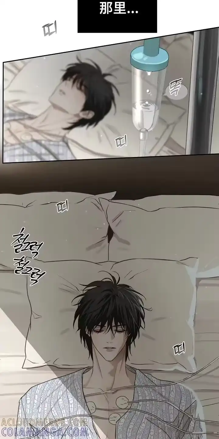 花是诱饵_h 第6章：无数借口 第3页