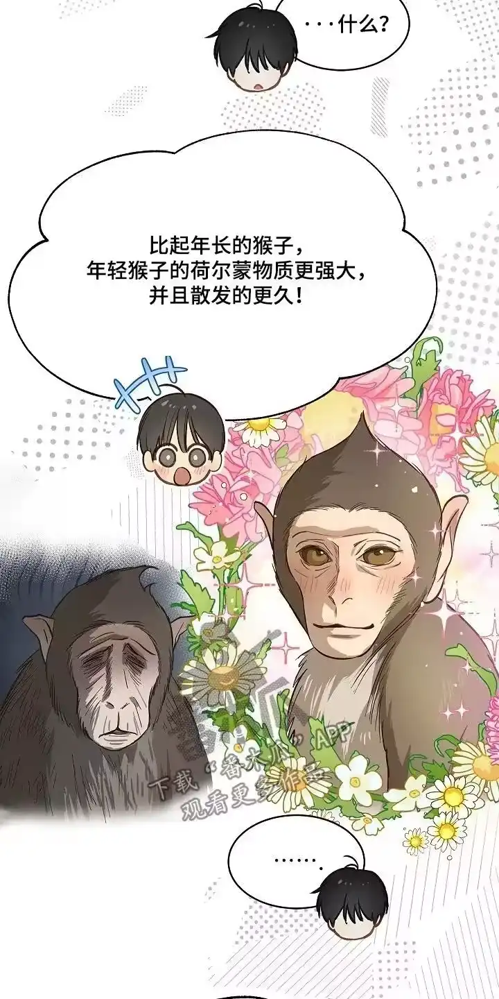 花是诱饵_h 第74章：什么意思 第12页