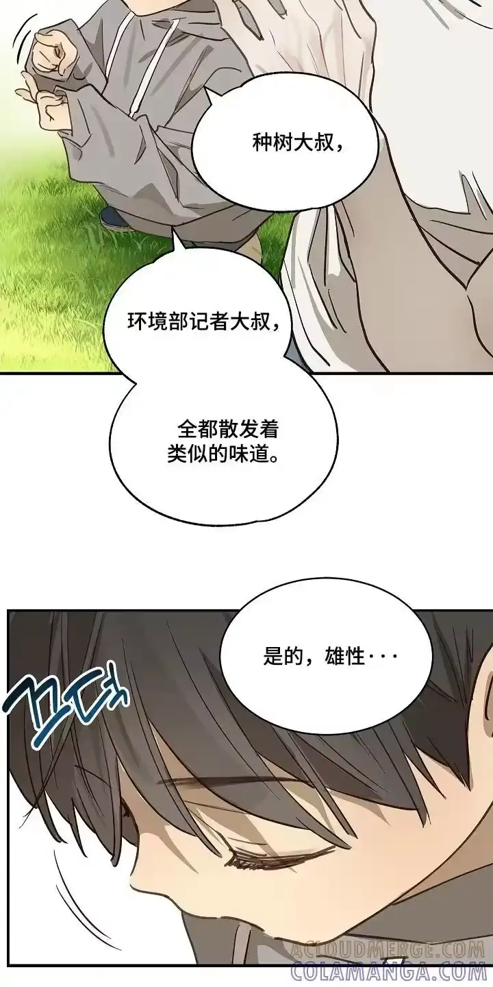 花是诱饵_h 第74章：什么意思 第17页
