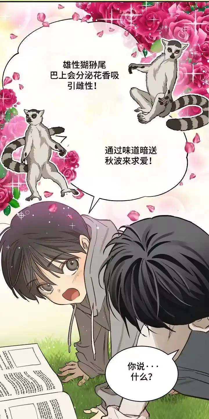 花是诱饵_h 第74章：什么意思 第8页