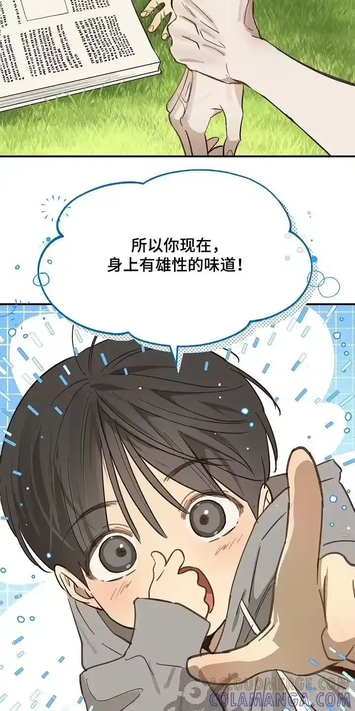 花是诱饵_h 第74章：什么意思 第9页