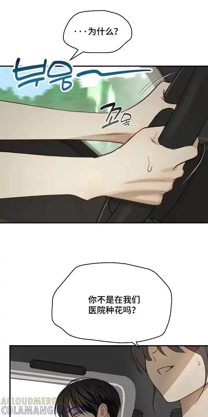 花是诱饵_h 第75章：你没事吧 第23页