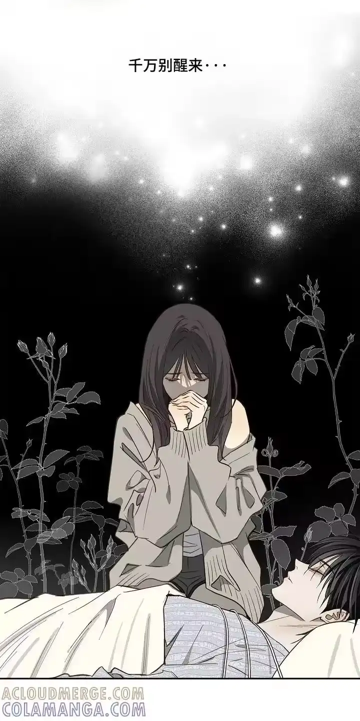花是诱饵_h 第76章：拜托醒来 第11页