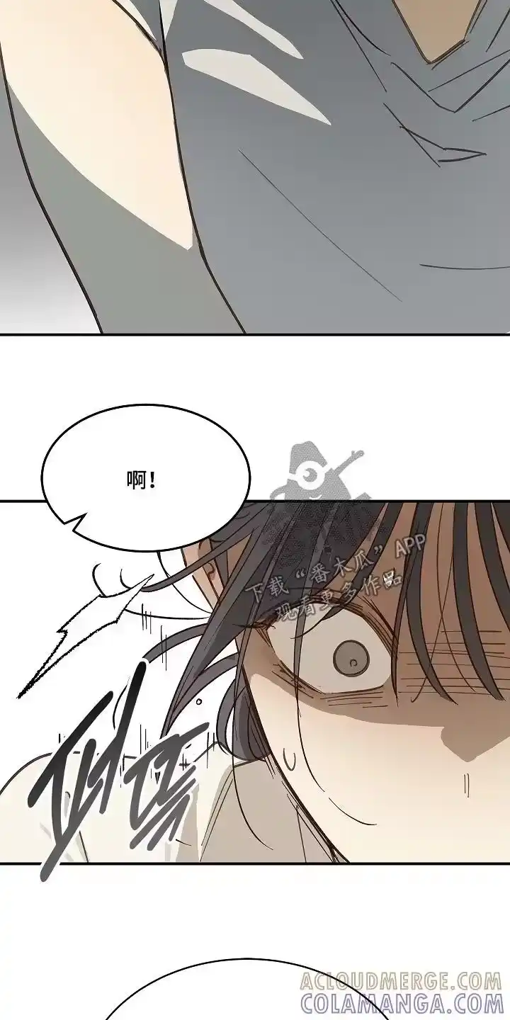 花是诱饵_h 第76章：拜托醒来 第13页
