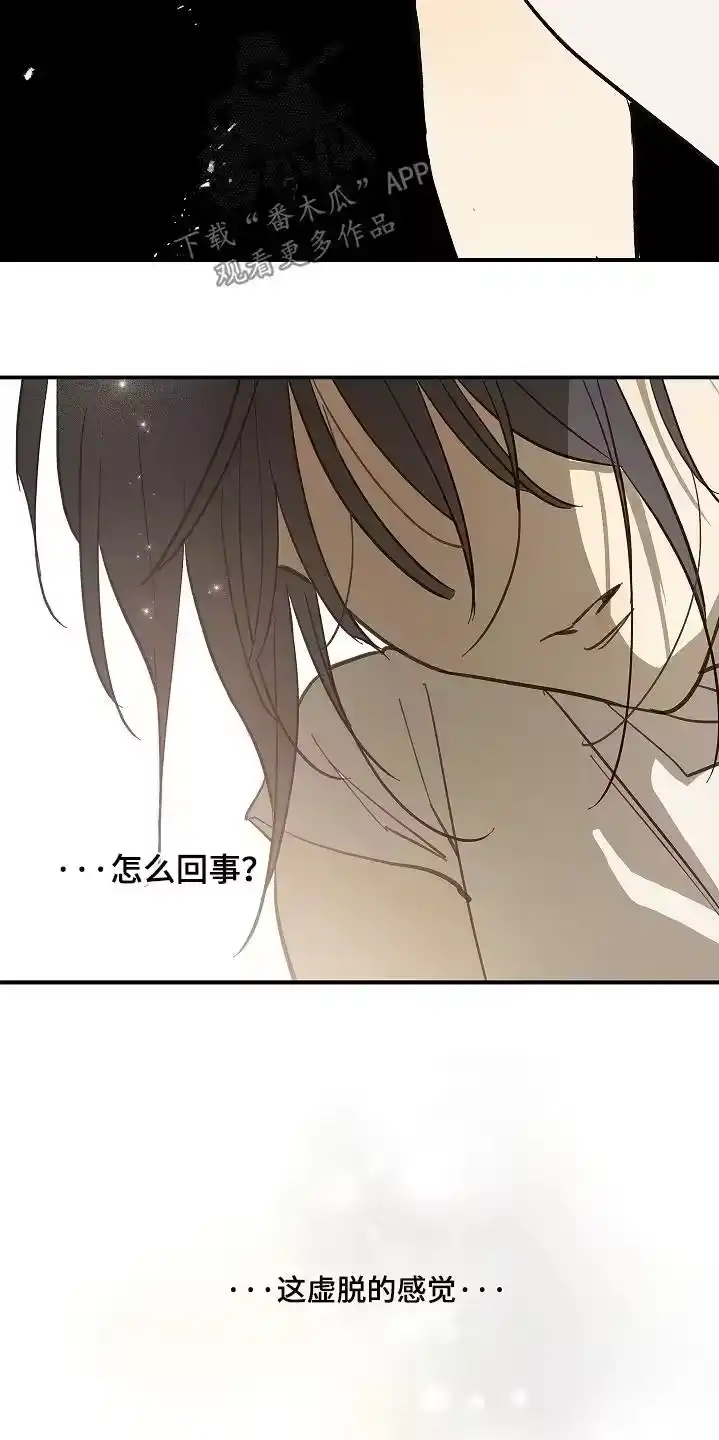 花是诱饵_h 第76章：拜托醒来 第20页
