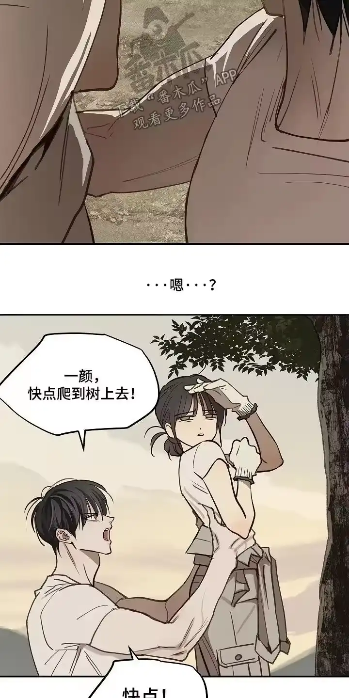 花是诱饵_h 第78章：野猪 第12页