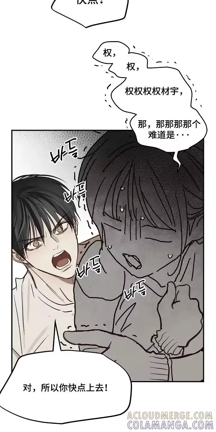 花是诱饵_h 第78章：野猪 第13页