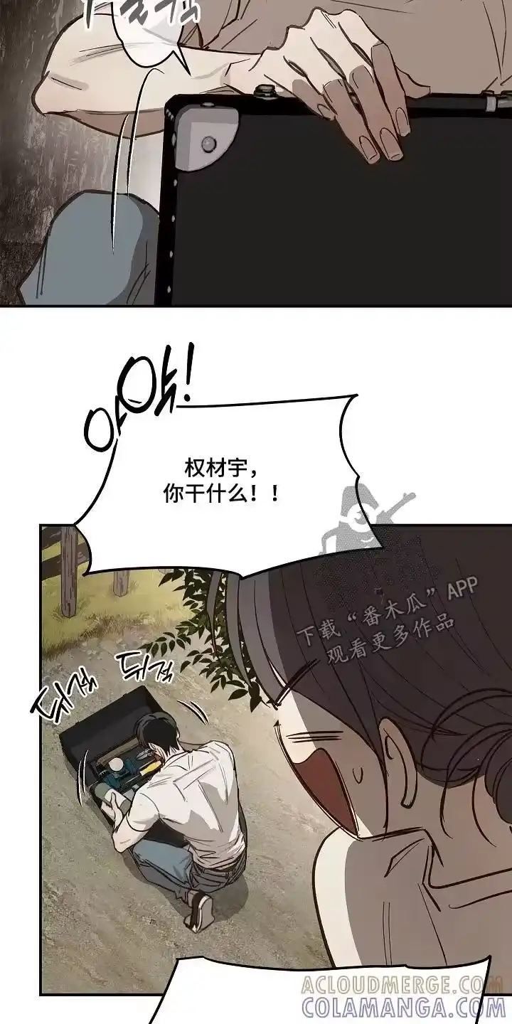 花是诱饵_h 第78章：野猪 第17页