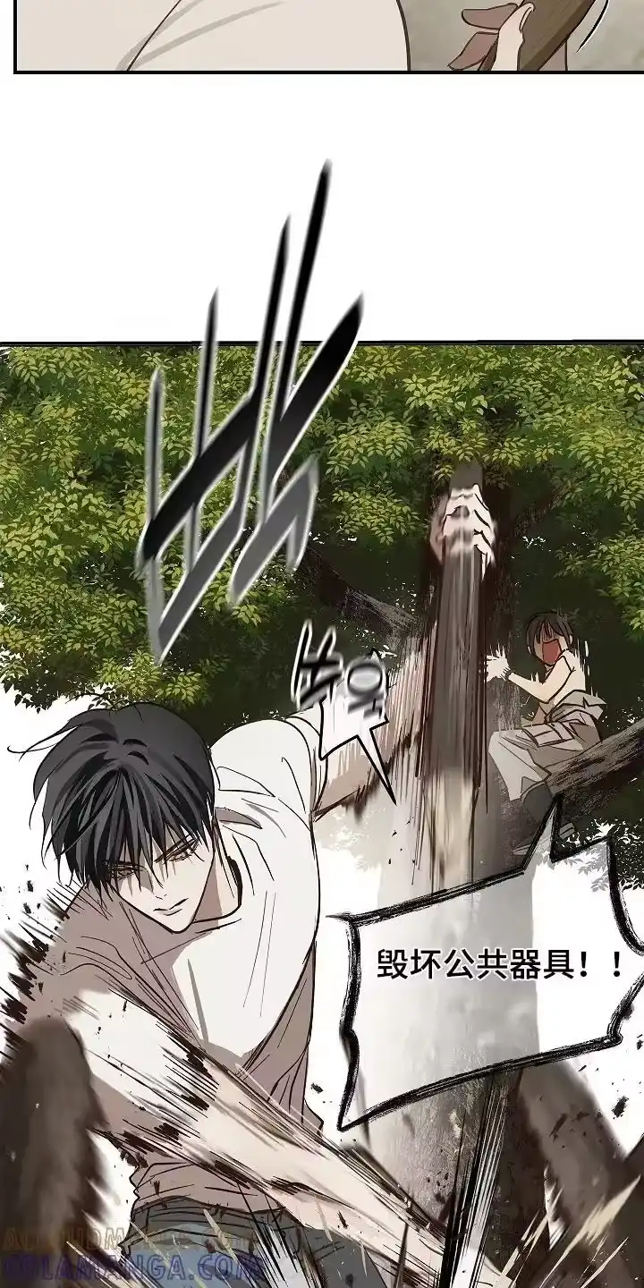 花是诱饵_h 第78章：野猪 第19页