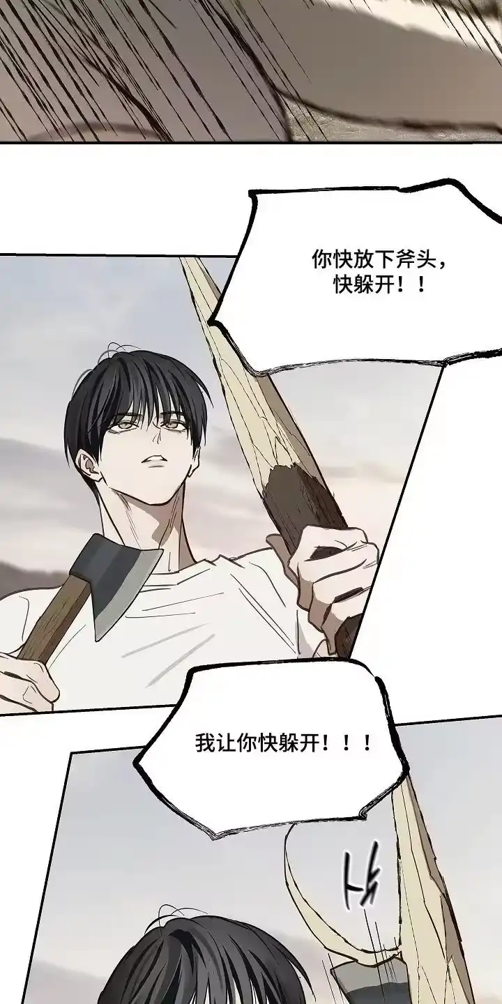 花是诱饵_h 第78章：野猪 第22页
