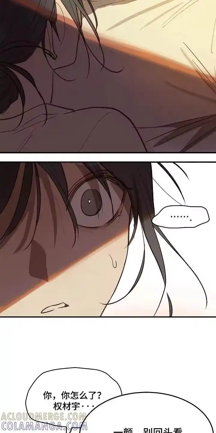 花是诱饵_h 第78章：野猪 第3页