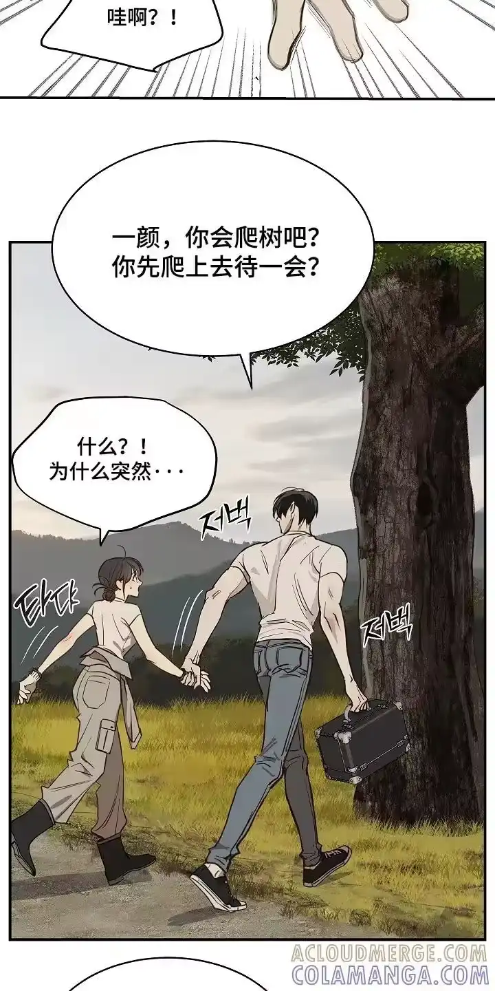 花是诱饵_h 第78章：野猪 第5页