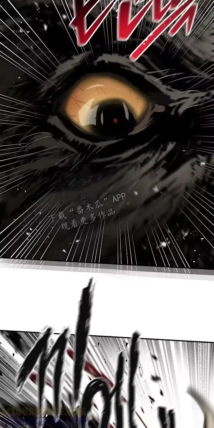 花是诱饵_h 第79章：千万不能死 第17页