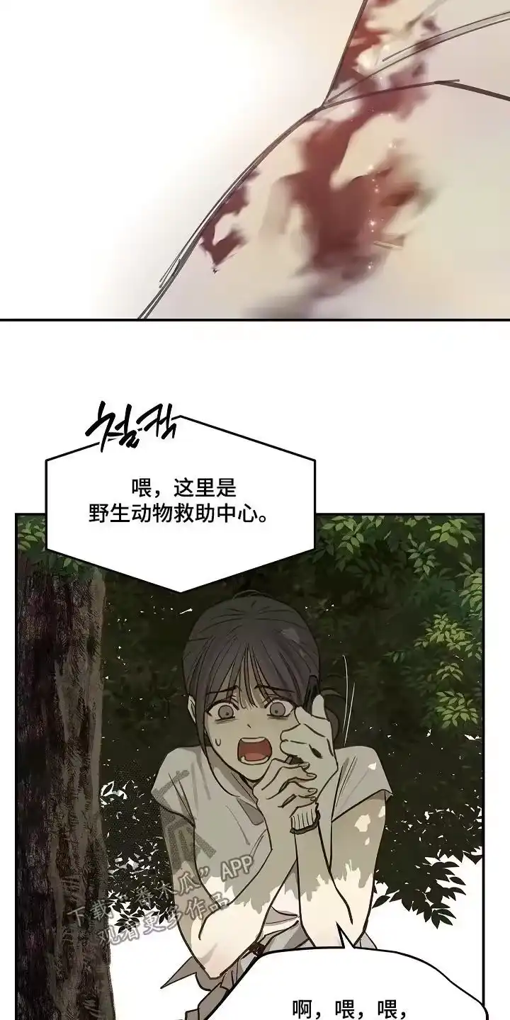 花是诱饵_h 第79章：千万不能死 第26页