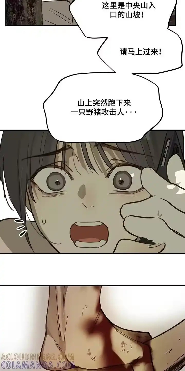 花是诱饵_h 第79章：千万不能死 第27页
