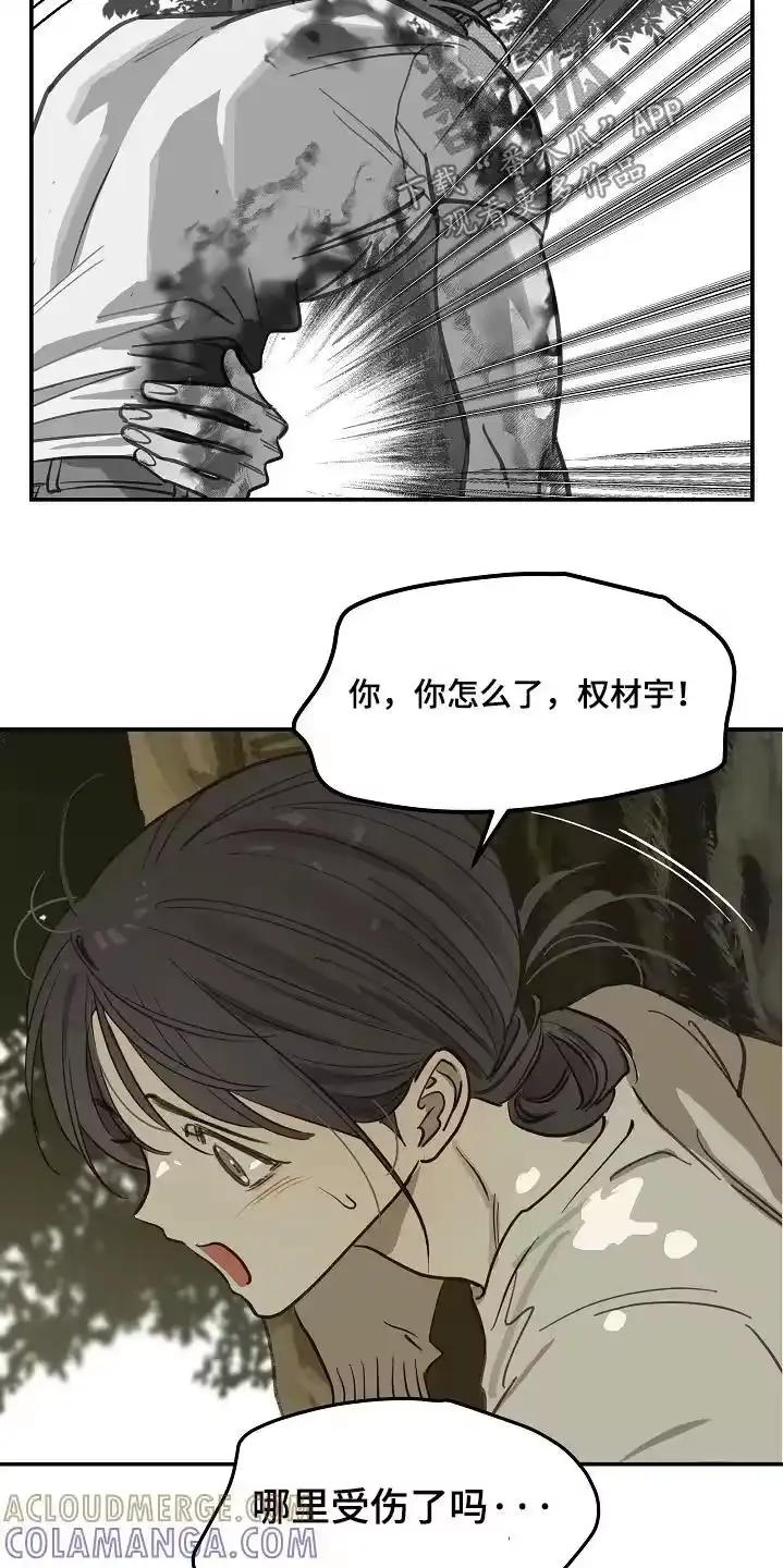 花是诱饵_h 第80章：怀疑的眼神 第12页
