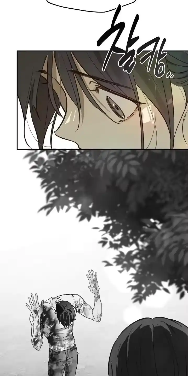 花是诱饵_h 第80章：怀疑的眼神 第13页
