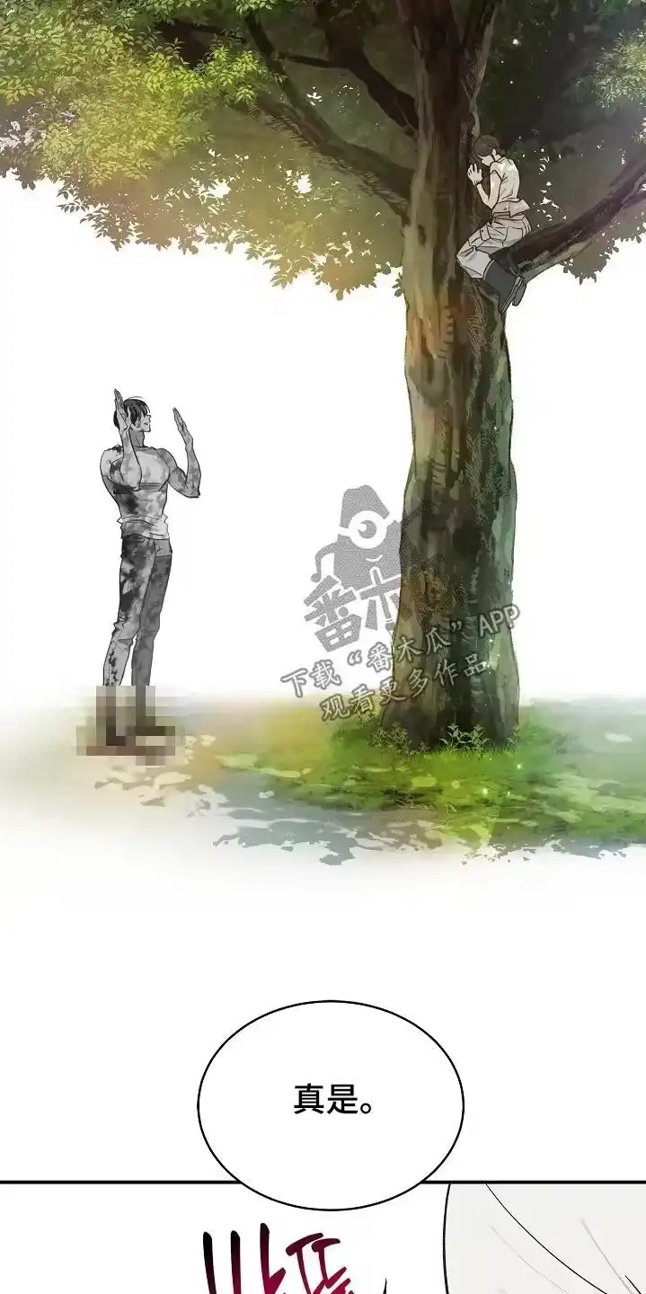 花是诱饵_h 第80章：怀疑的眼神 第17页
