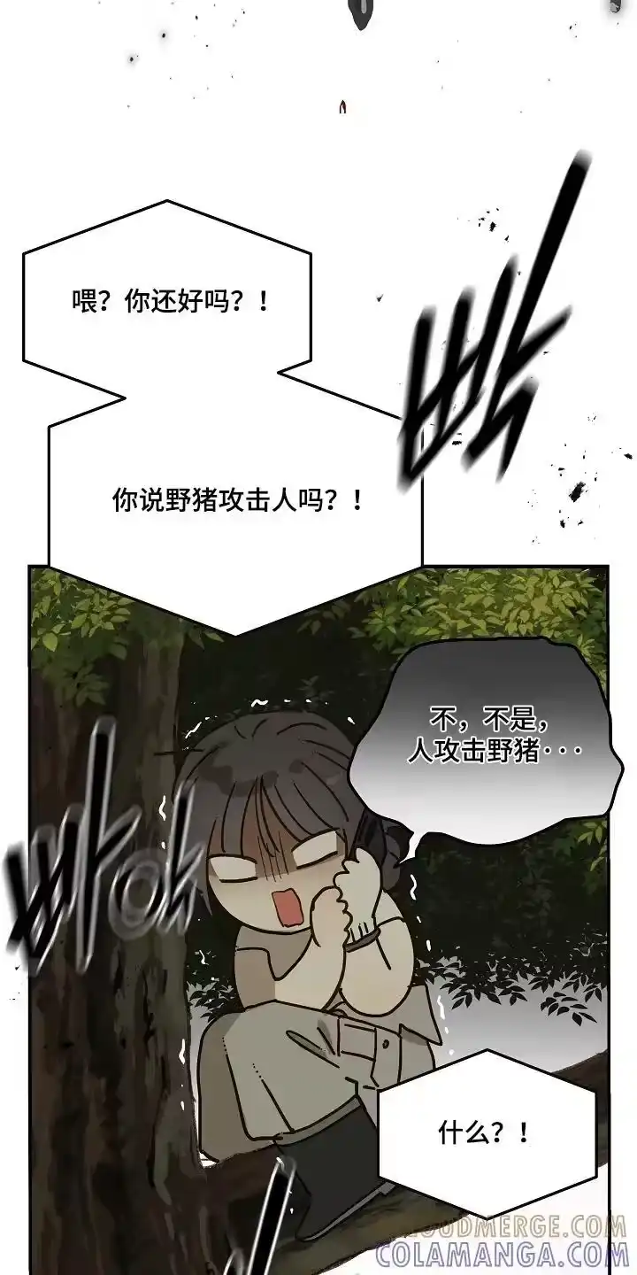 花是诱饵_h 第80章：怀疑的眼神 第2页