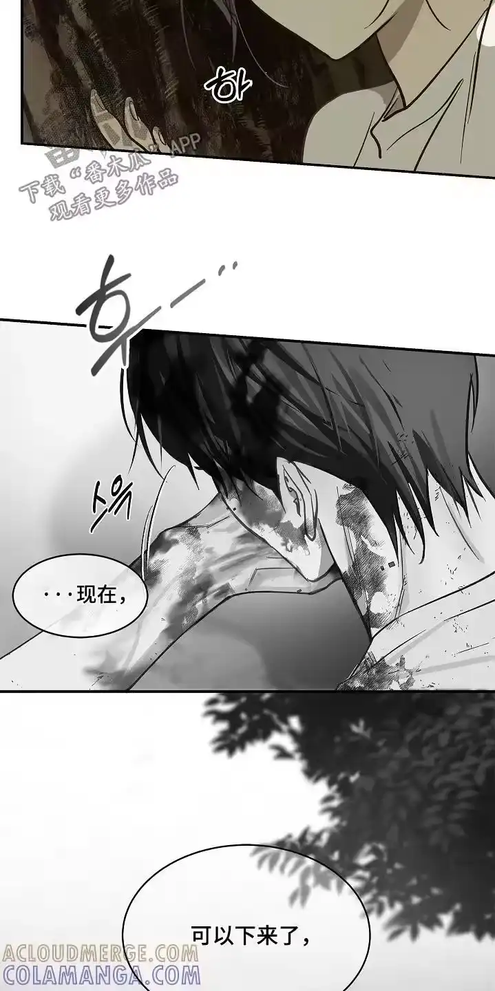 花是诱饵_h 第80章：怀疑的眼神 第4页
