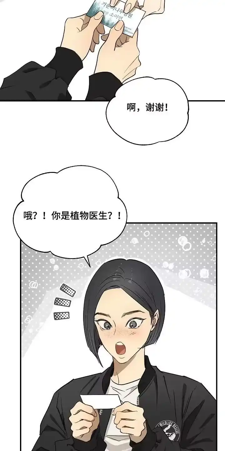花是诱饵_h 第82章：她很坚强 第12页